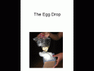 Egg Drop PowerPoint